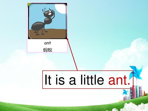 ant怎么讀-ant怎么讀英語(yǔ)